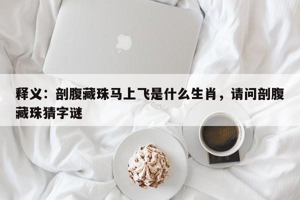 释义：剖腹藏珠马上飞是什么生肖，请问剖腹藏珠猜字谜