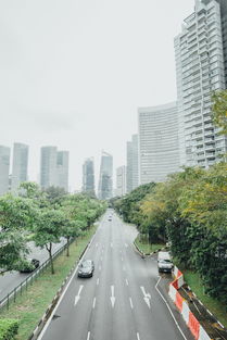 最近北塘泰达御景最新消息(北塘泰达御海咋样)