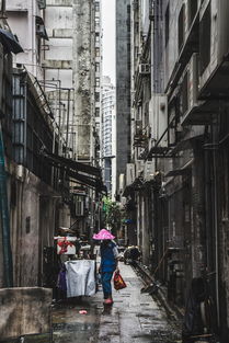 最近最新香港警匪片电视剧(最新香港警匪片电视剧大全)